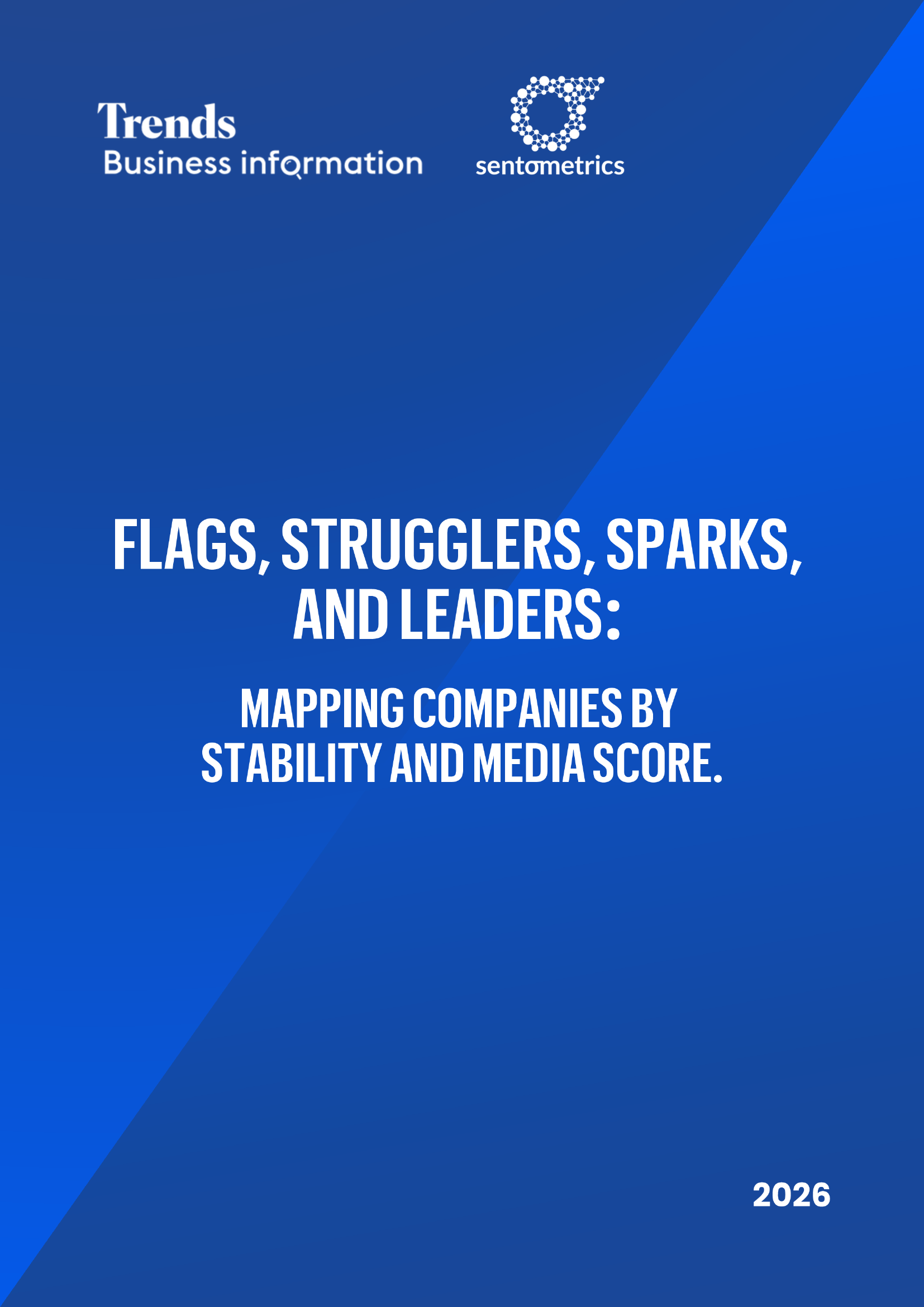 Flags, Strugglers, Sparks, and Leaders: Mapping Companies by Stability and Media Score, report cover